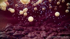 Breakthrough in Cancer Research Offers New Hope for Patients